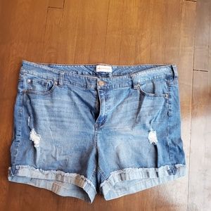 MOLLY + ISADORA Denim Shorts
